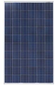 Polycrystalline Solar Panels