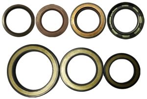 oil seals