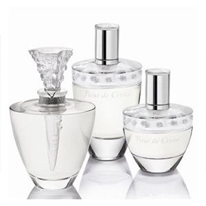 Cosmetics Fragrance