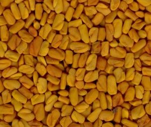 Fenugreek Seed