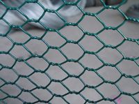 Hexagonal Mesh