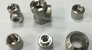 Titanium Forged Fittings