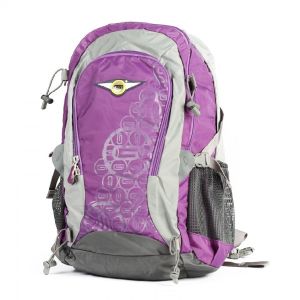 DREAMS TRUCKING PURPLE BAG