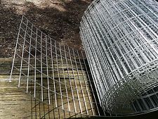 Welded Wire Mesh