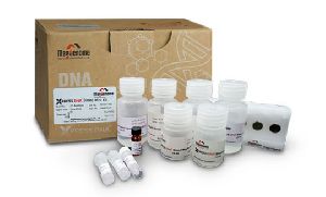 XpressDNA Blood Mini Kit