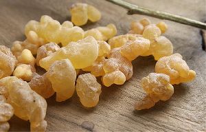 frankincense gum