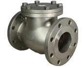 Check Valve