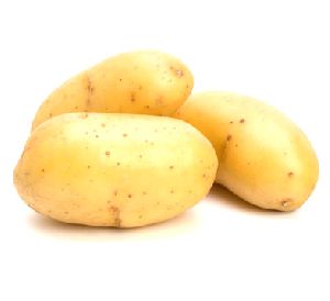 Potato