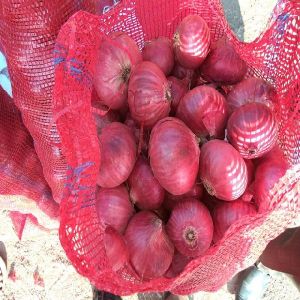 Red Onion