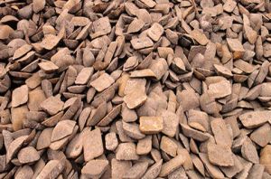 Basic Pig Iron