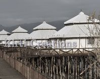 Vibrant Resort Tent