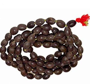 Kamalgatta Mala