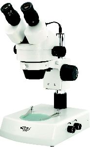 STEREO MICROSCOPE BINOCULAR