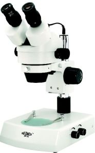 STEREO MICROSCOPE TRINOCULAR