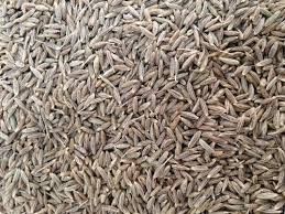 Cumin Seed