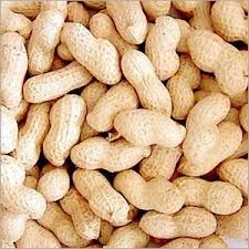 groundnuts shell