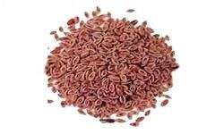 Psyllium Seeds