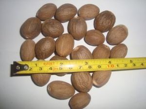 Nutmeg Whole