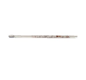 Thermometer Veterinary