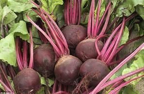 Fresh Beetroot