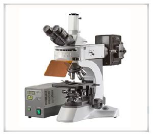 Fluorescence Microscope