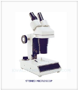 Stereo Microscope