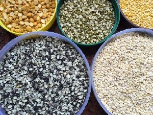 Indian Pulses