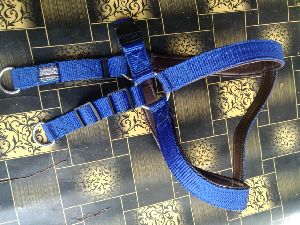 Dog Body Belts