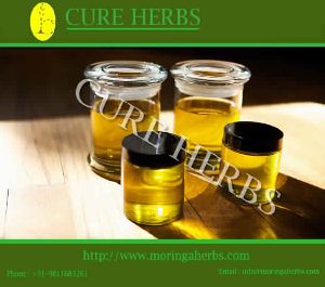 Moringa Oliefera oil