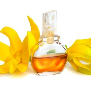 Ylang Ylang Oil