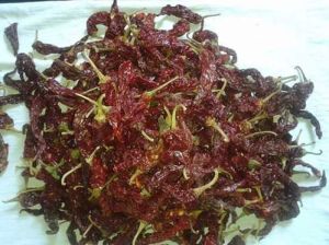 Kashmiri Dry Red Chilli