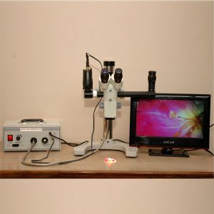 Wet Lab Microscope