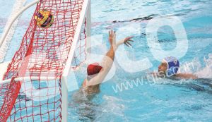 Water Polo Nets