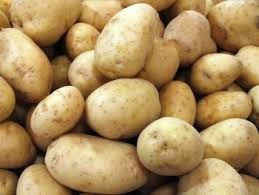 Solanum Tuberosum Potato