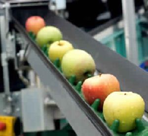 fruit processing plant