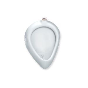 Wall Mounted Toilet Urinal