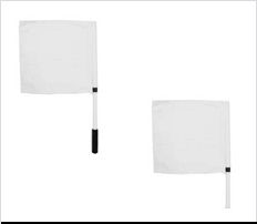 Umpire Flag