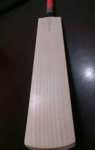 Plain English Willow Cricket Bats