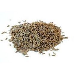 Natural Cumin Seeds