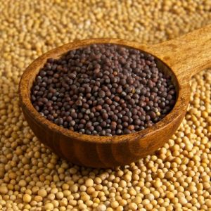 Natural Mustard Seeds