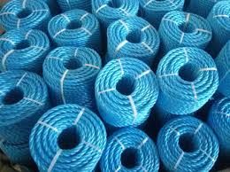 Regency PP Ropes (Blue)