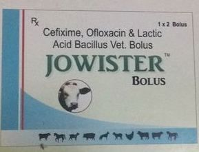 Jowister bolus