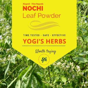 Nochi Leaf Powder