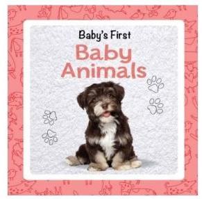 Baby First Early Learning Book