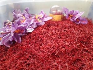 Premium Kashmiri Saffron