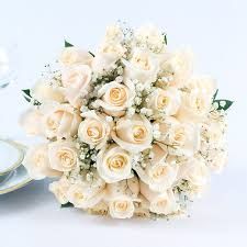 Fresh White Rose