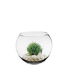 glass fish bowl