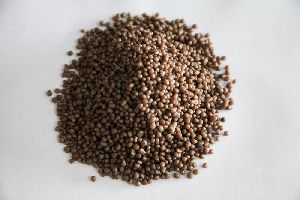 Brown DAP Fertilizer