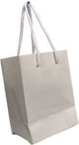 Plain Disposable Paper Bag