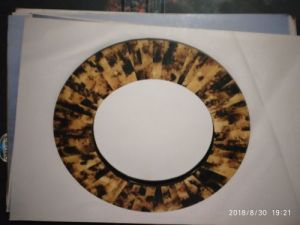 Horn and Bone Round Photo Frames